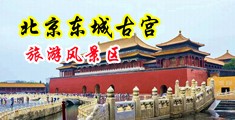 看美美女挨操大逼大毛片中国北京-东城古宫旅游风景区